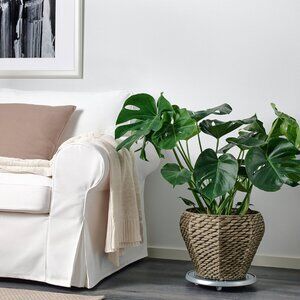 New IKEA DRUVFLÄDER Plant Pot Water Hyacinth/gray 13X11X9"